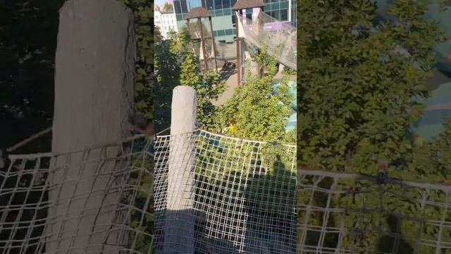 Compose_video_1726410999175