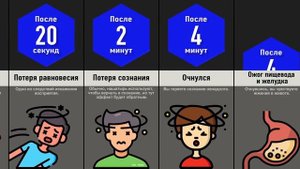 Что, Если Пить Только Спирт?