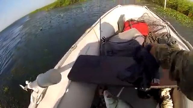 Белый хищник спокойной реки. Август 2020. смотреть онлайн