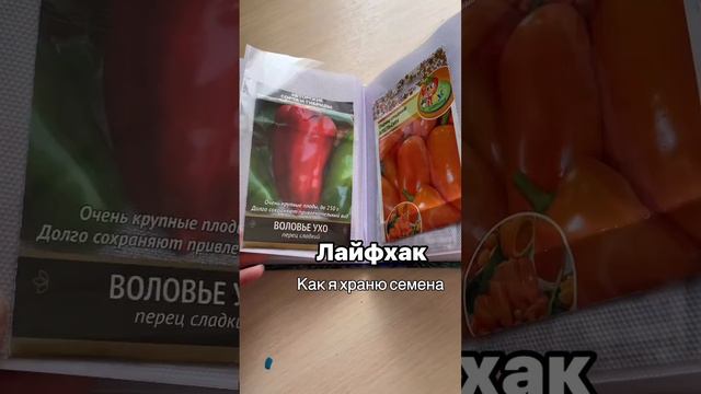 How to store seeds