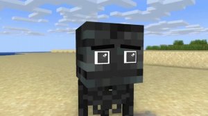 Minecraft, Bad Wither Skeleton Family | Sad Story Monster school Animation