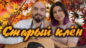 Старый клён