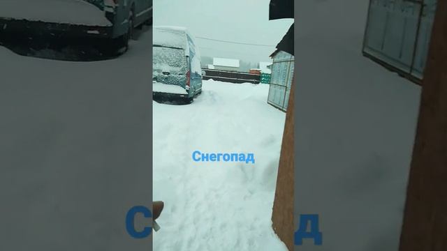 В Москве глобальный снегопад.