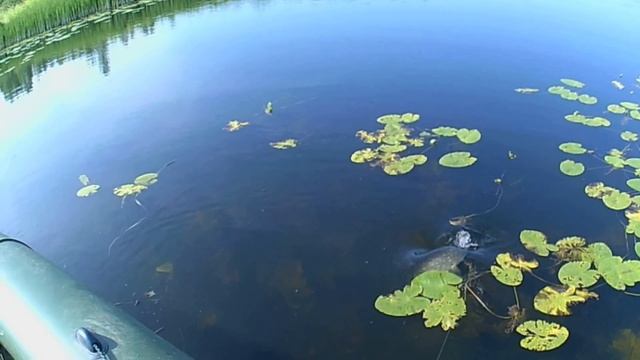 Рыбалка, съёмка надводная и подводная. смотреть онлайн