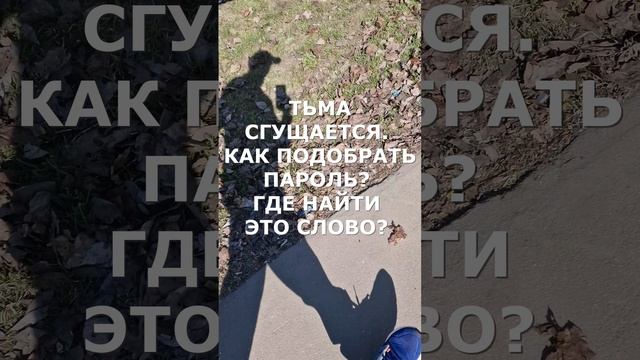 #ВИДЕОПОЭЗИЯ