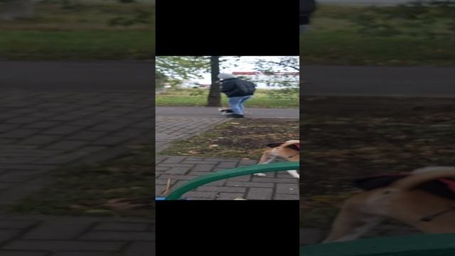 Я и моя собака Мартин сидим на лавочке на Московском шоссе. смотреть онлайн