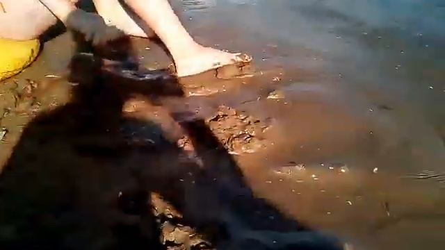 Мы на речке с мамой и Викой смотреть онлайн