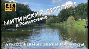 #Прогулка по Митинскому лесопарку г #Москва деревня #Рождествено #4K митино