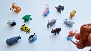 Kinder Surprise Natoons 2023 / Kinder Surprise Animals - Complete collection of animals!