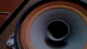 Динамик 10 ГДШ и усилитель Маяк 223