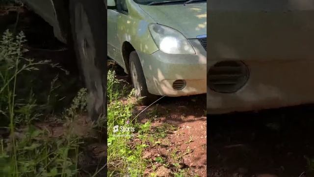 Она пытается скребётся #shorts #car #offroad