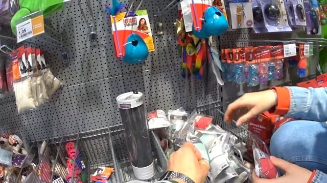 Первые покупки для котенка Мейн-Кун Вилли. #ХОХОЛиМОЛДОВАШКА смотреть онлайн