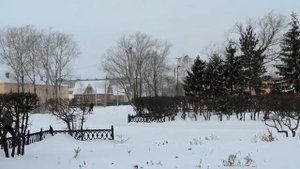 Кратко про Называевск