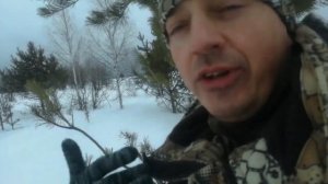 ОХОТА ЗИМОЙ НА ЛЫЖАХ , ЛОСЕЙ КАК ГРЯЗИ ))))