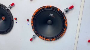 Эти динамики сделают тебе больно - Raven 250 с диким панчем [обзор, прослушка от магазина SOUNDWAR]