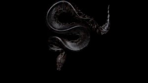 К чему снится змея и что значит видеть змею во сне