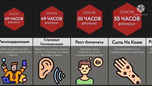 Что если не спать 10 дней и более! What if do not sleep for 10 days or more!