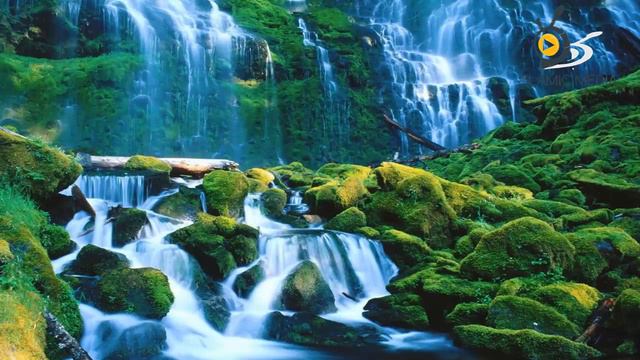 Sashorire miraj bandhur !bangla gojol ,islamic song (neda e islam )ISLAMIC MEDIA смотреть онлайн