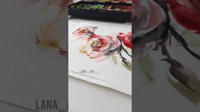 Розы акварелью смотреть онлайн