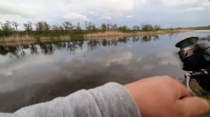 вечерняя раздача щуки и окуня. весна2023