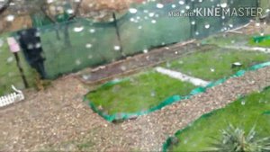 САДОВЫЙ заборчик из камыша своими руками БЕСПЛАТНО!