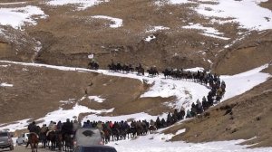 Трёхдневный конный переход на лошадях Карачаевской породы, посвящённый 100-летию КЧР!