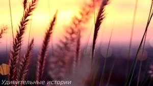 От безысходности Катя спешила домой собирать чемоданы. Но когда она вошла в квартиру и услышала...