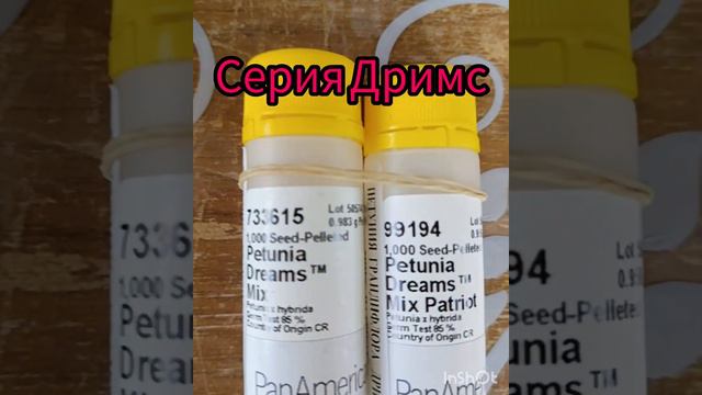 Обзор семян кустовых петуний на  рассадный сезон 2024 года
