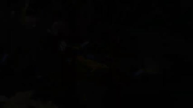 Музыка при болезнях сердца, музыка для расслабления нервов и снятия стресса смотреть онлайн