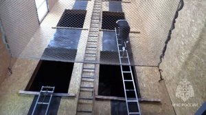 Правила выполнения упражнений пожарно-спасательного спорта