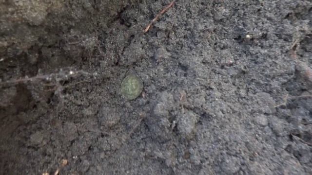 Жаркий декабрьский выезд. Пятак Екатерины 2. Советский билон. смотреть онлайн