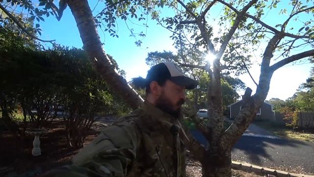 пхд4/ Стена от соседей!!!! / Забугорье. США смотреть онлайн