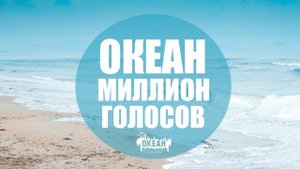 Клип «Миллион голосов ВДЦ «Океан»