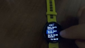 Часы Garmin Forerunner 965. История. Архив. Рекорды - просмотр, возвращение, удаление данных