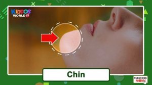 Parts of the Human Body for Learning