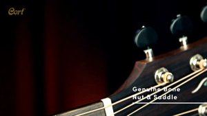 ⭐New for 2021⭐ Solid Choice, Core-OC Spruce | Core Series | All Solid | Cort Acoustic Guitars