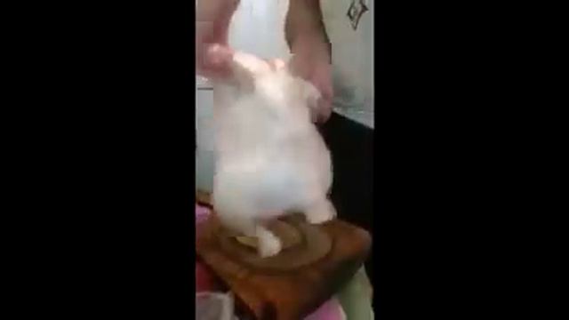 Танцуй тетя.куры) смотреть онлайн