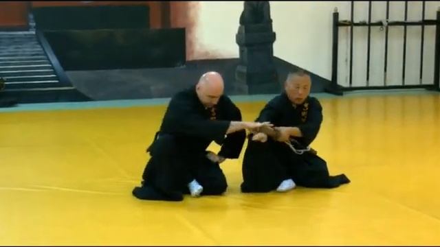 МДЭР Иайдзюцу. Бункай иайкобудзюцу. Секигути Сэнсей и Линдер И.Б. смотреть онлайн