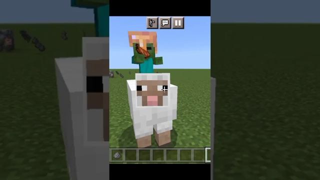 RAREST MOMENT EVER IN MINECRAFT HISTORY