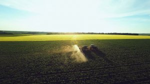 Компания Canseeds. Процесс обработки сорняков на посевах сои в полях Воронежской области #видеограф