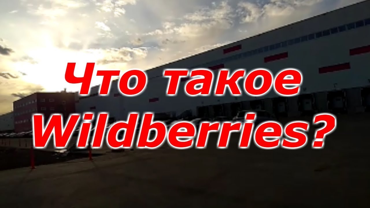 Что такое Wildberries? Вайлдберриз интернет магазин. Крупный бизнес.