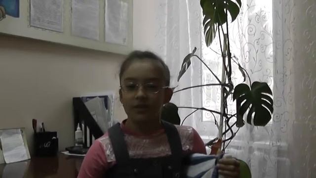 Эльвина смотреть онлайн