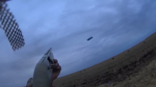 11 гусей с трех налетов!!! Лучшая охота!!! смотреть онлайн