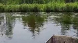 моторвесло по малым рекам