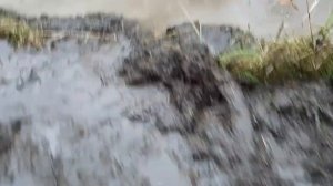 На Газушке весело по  Русскому бездорожью Гусеничный Танк-вездеход Газ 73 гтму ещё тот проходимец