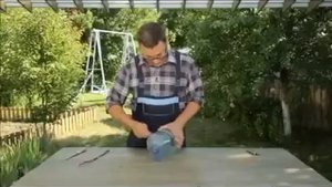 Как избавиться от крыс и мышей.