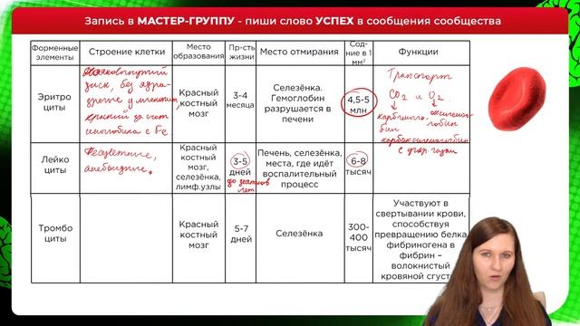Внутренняя среда организма: кровь, лимфа, тканевая жидкость. ЕГЭ | Пробная неделя мастер-группы