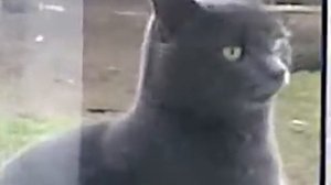 САНЯ, ОТКРОЙ! Я ЗАМЕРЗ