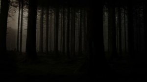 A Victorian Ghost lures you into the deep dark forest| Horror Ambiance
