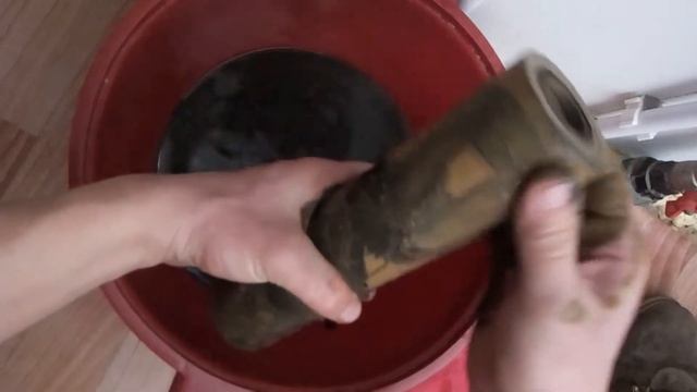 поселок лесной барнаул